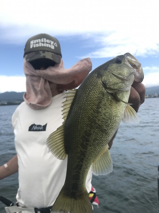 truth  ブログ写真 2020/09/07