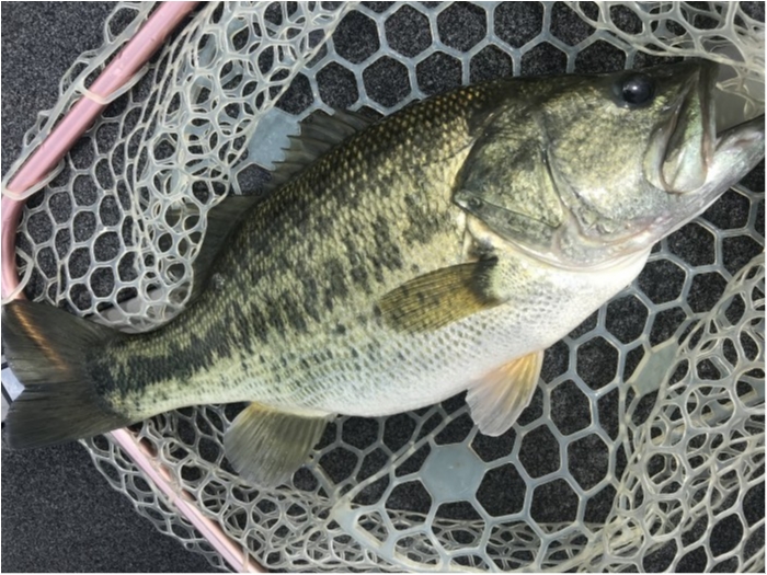 truth  ブログ写真 2020/09/07