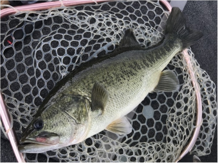 truth  ブログ写真 2020/09/07