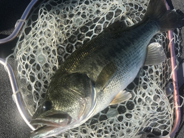 truth  ブログ写真 2020/09/08