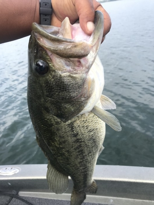 truth  ブログ写真 2020/09/09