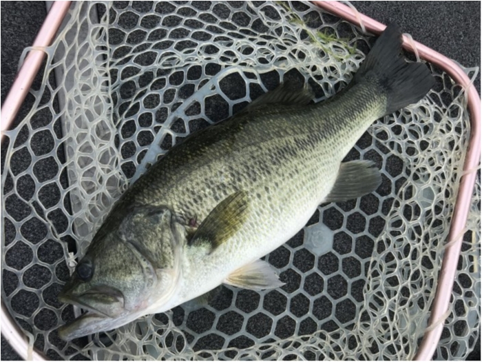 truth  ブログ写真 2020/09/09