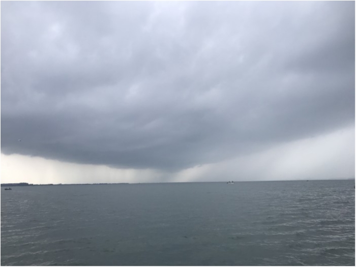 truth  ブログ写真 2020/09/10