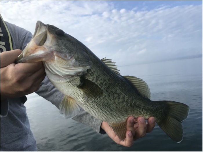 truth  ブログ写真 2020/09/11