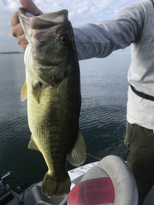 truth  ブログ写真 2020/09/11