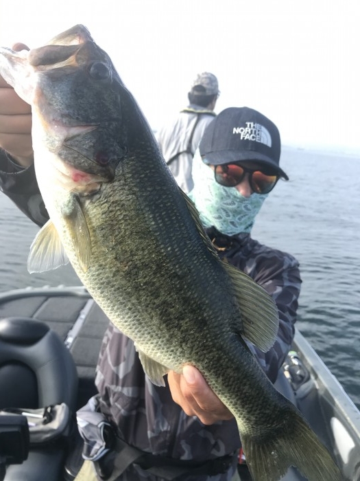 truth  ブログ写真 2020/09/11