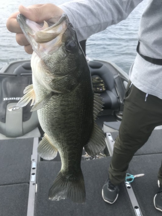 truth  ブログ写真 2020/09/11