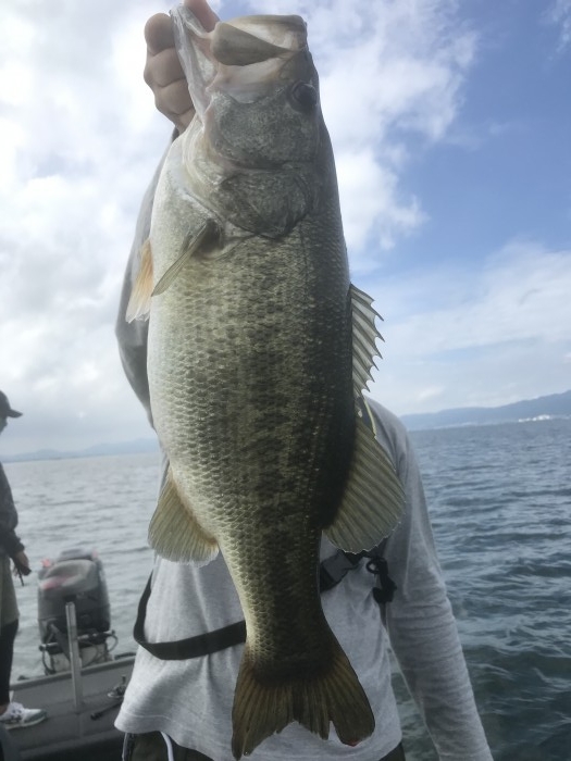 truth  ブログ写真 2020/09/11