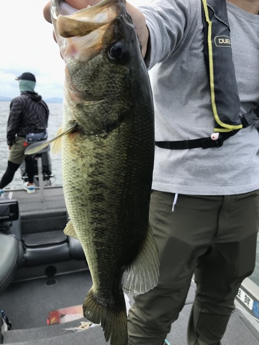 truth  ブログ写真 2020/09/11