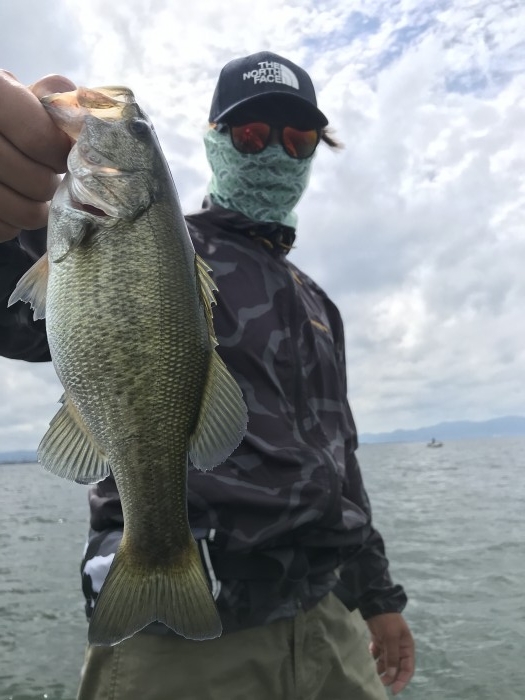 truth  ブログ写真 2020/09/11