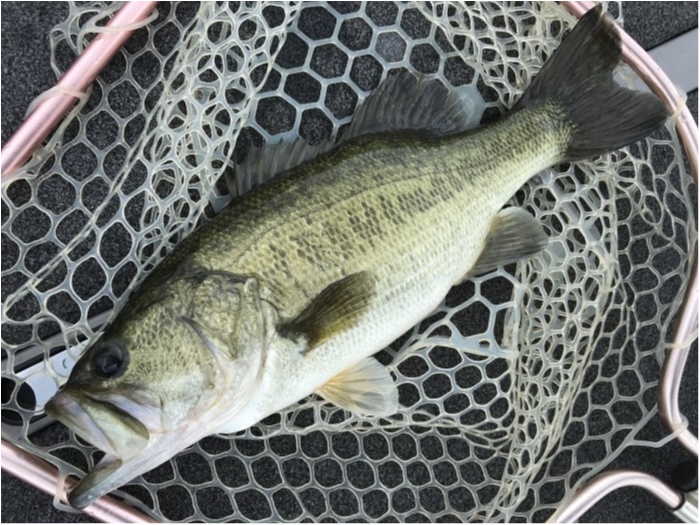 truth  ブログ写真 2020/09/11