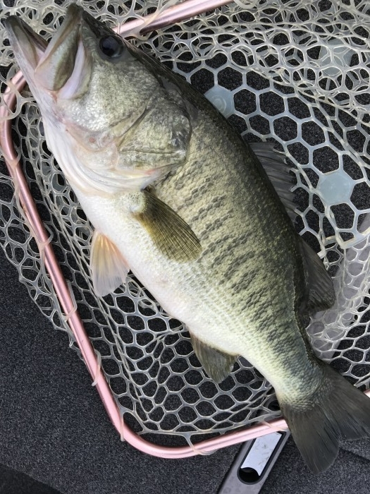 truth  ブログ写真 2020/09/11