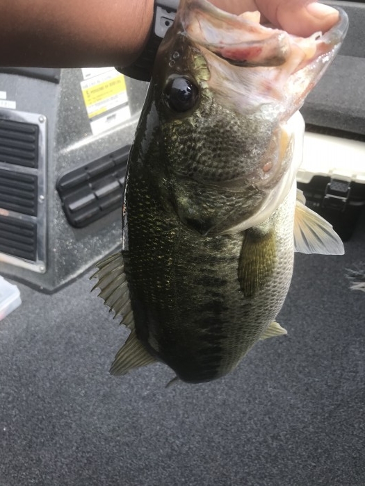 truth  ブログ写真 2020/09/12