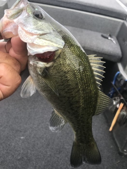 truth  ブログ写真 2020/09/12