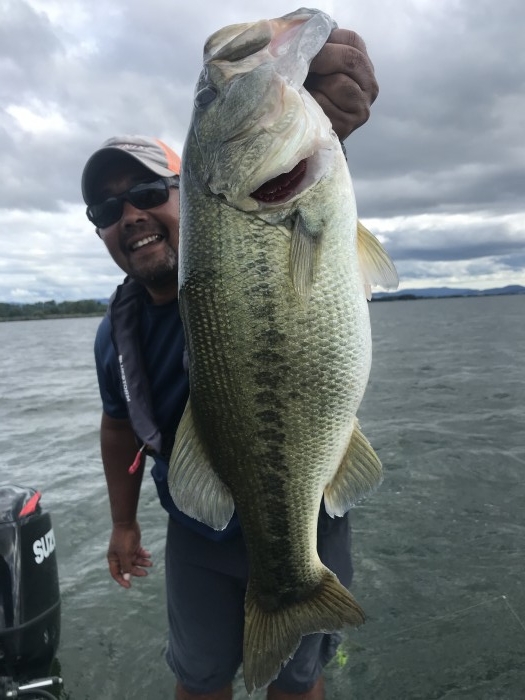 truth  ブログ写真 2020/09/14