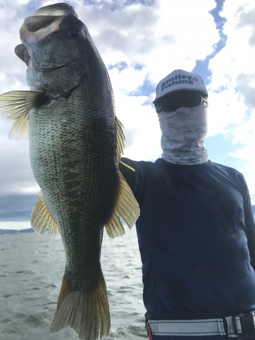 truth  ブログ写真 2020/09/14