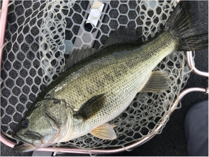 truth  ブログ写真 2020/09/14