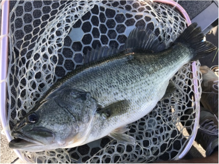 truth  ブログ写真 2020/09/15