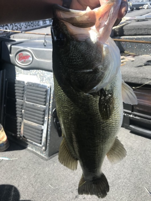 truth  ブログ写真 2020/09/15