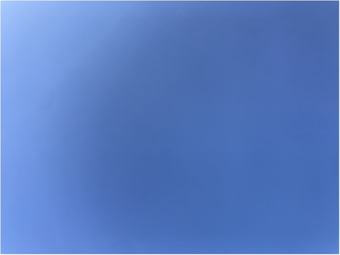 truth  ブログ写真 2020/09/15