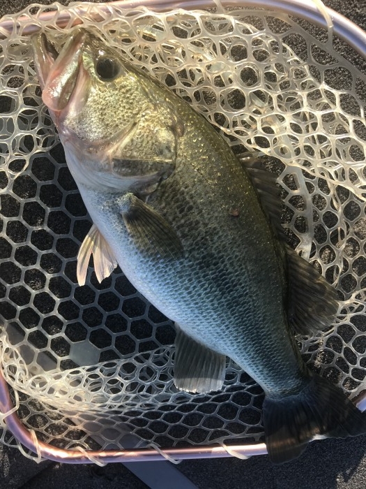 truth  ブログ写真 2020/09/15