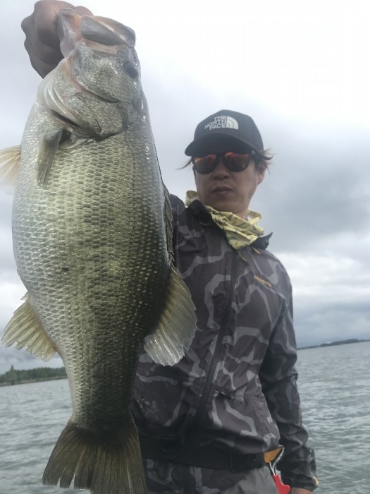 truth  ブログ写真 2020/09/18