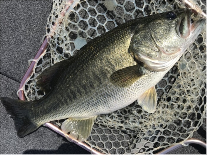 truth  ブログ写真 2020/09/22