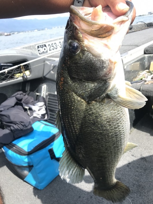 truth  ブログ写真 2020/09/22