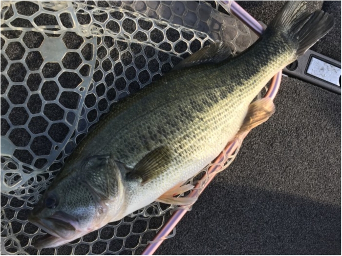 truth  ブログ写真 2020/09/23