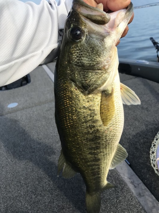 truth  ブログ写真 2020/09/23