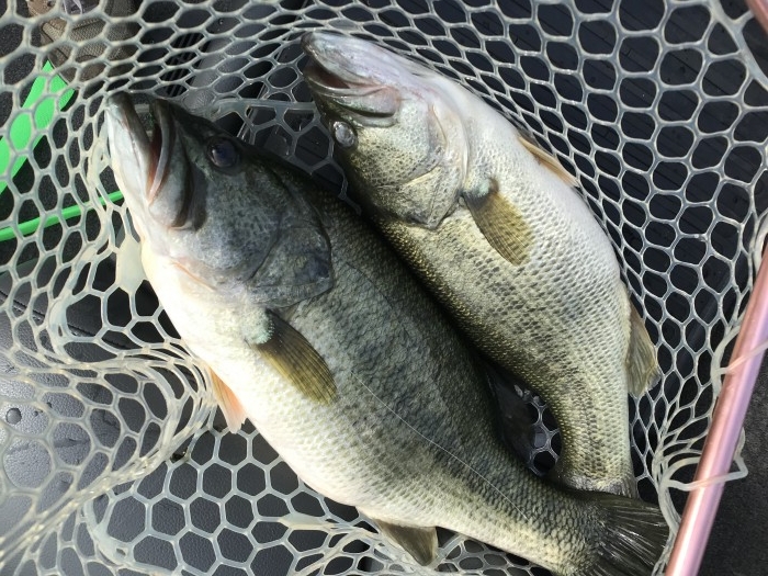 truth  ブログ写真 2020/09/23