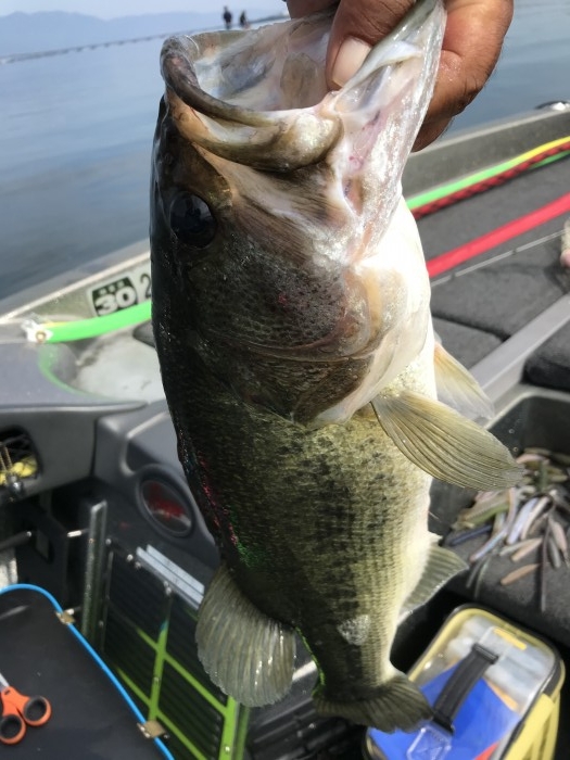 truth  ブログ写真 2020/09/23