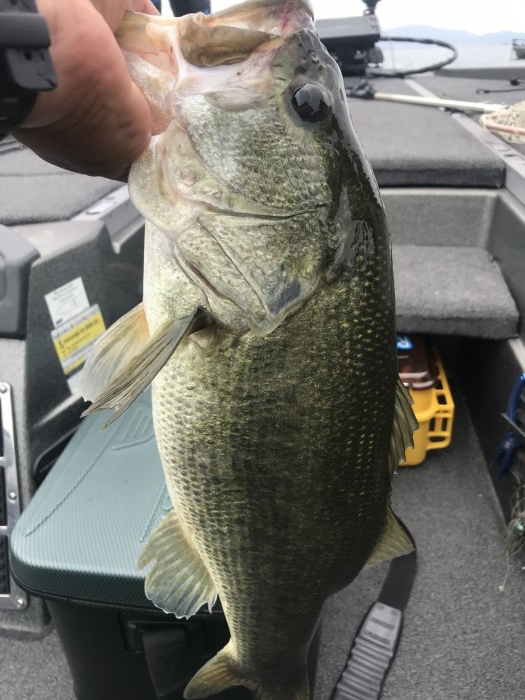 truth  ブログ写真 2020/09/25