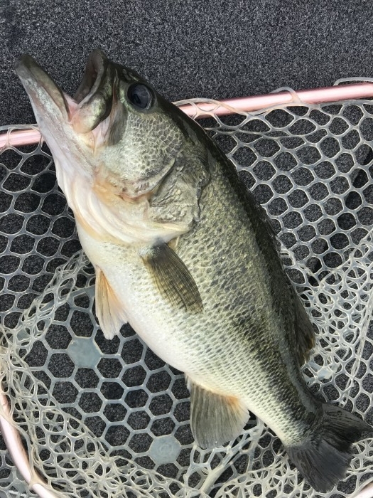 truth  ブログ写真 2020/09/25