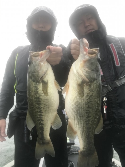 truth  ブログ写真 2020/09/25