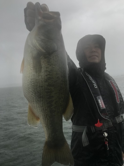 truth  ブログ写真 2020/09/25