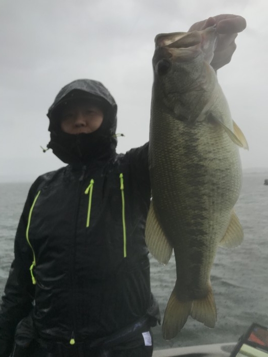 truth  ブログ写真 2020/09/25