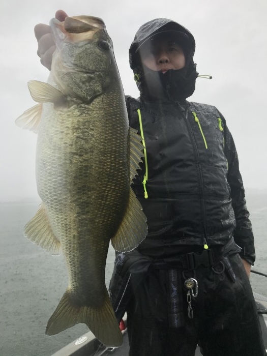 truth  ブログ写真 2020/09/25