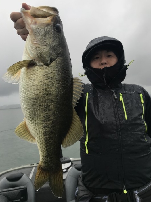 truth  ブログ写真 2020/09/25