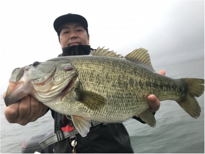 truth  ブログ写真 2020/09/25