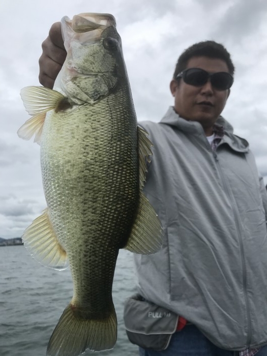 truth  ブログ写真 2020/09/26