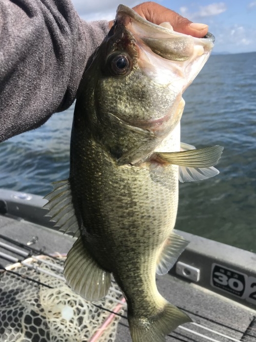 truth  ブログ写真 2020/10/01