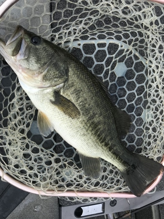 truth  ブログ写真 2020/10/03