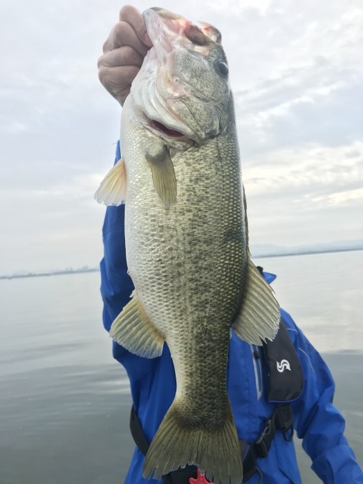 truth  ブログ写真 2020/10/04