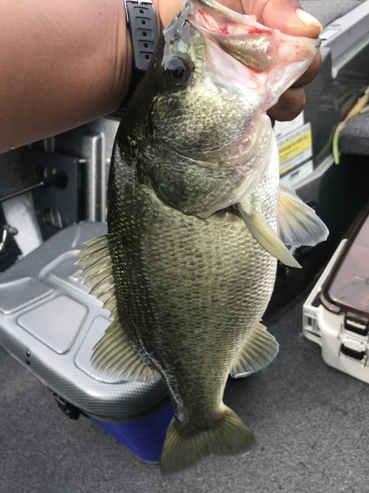 truth  ブログ写真 2020/10/04