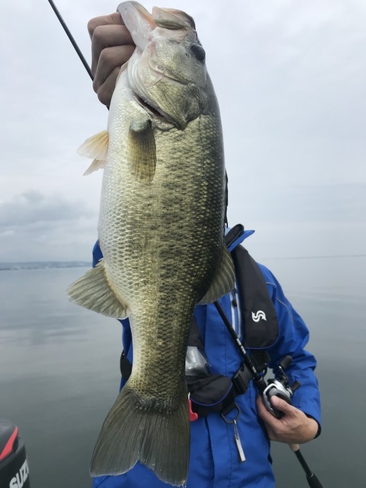 truth  ブログ写真 2020/10/04