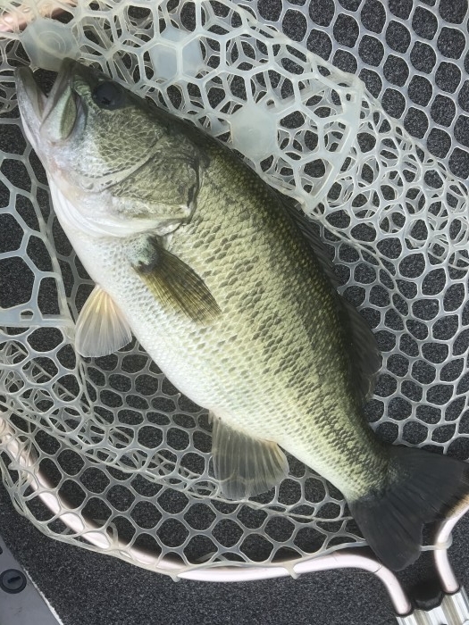 truth  ブログ写真 2020/10/04