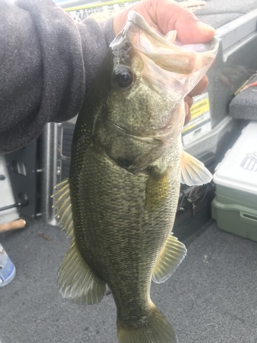 truth  ブログ写真 2020/10/05