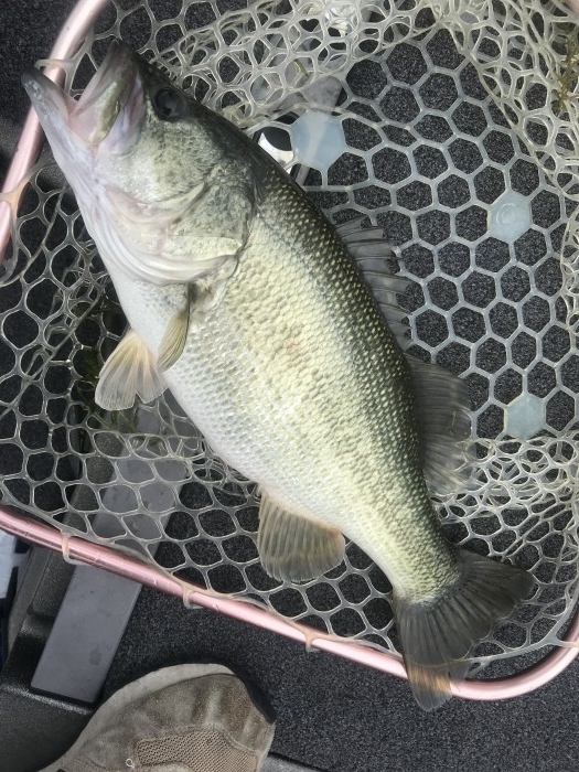 truth  ブログ写真 2020/10/05