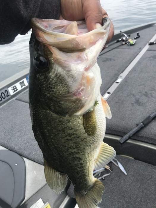 truth  ブログ写真 2020/10/05